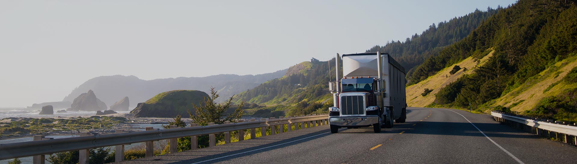 Forest Park Trucking Company, Trucking Services and Freight Forwarding Services
